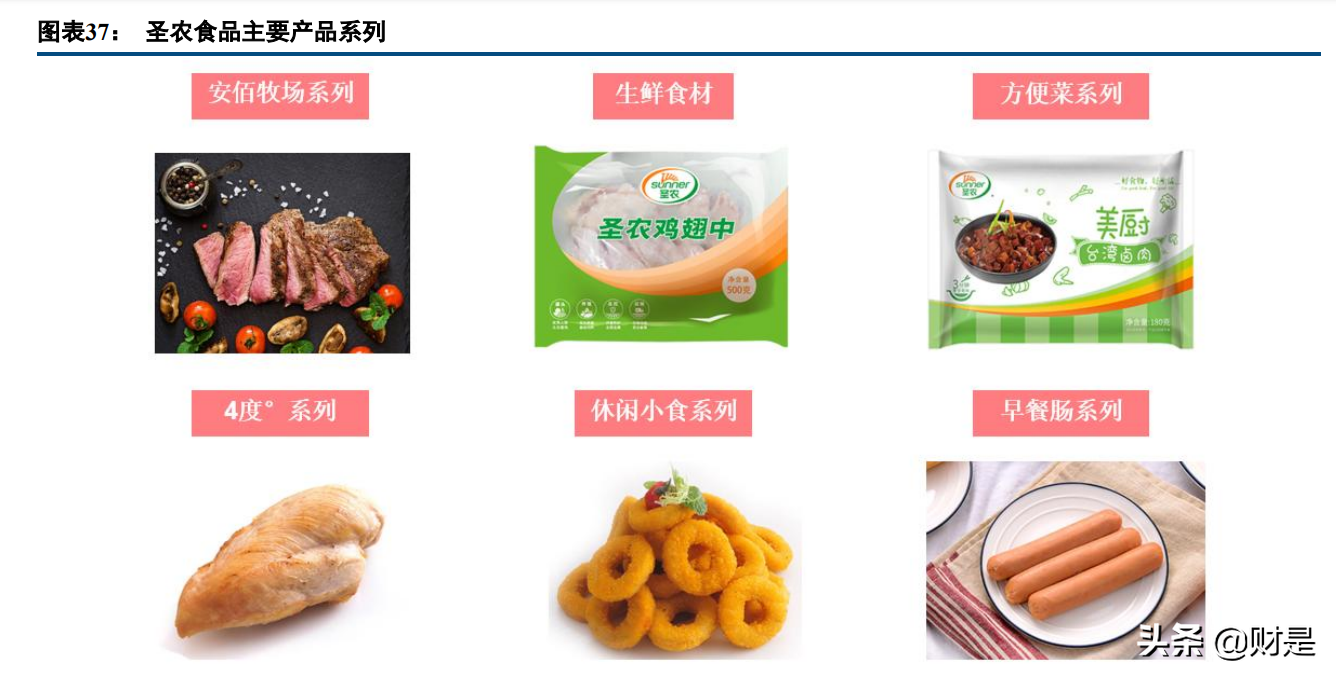 圣农发展专题报告 平滑养殖周期影响，食品业务打造增长新引擎